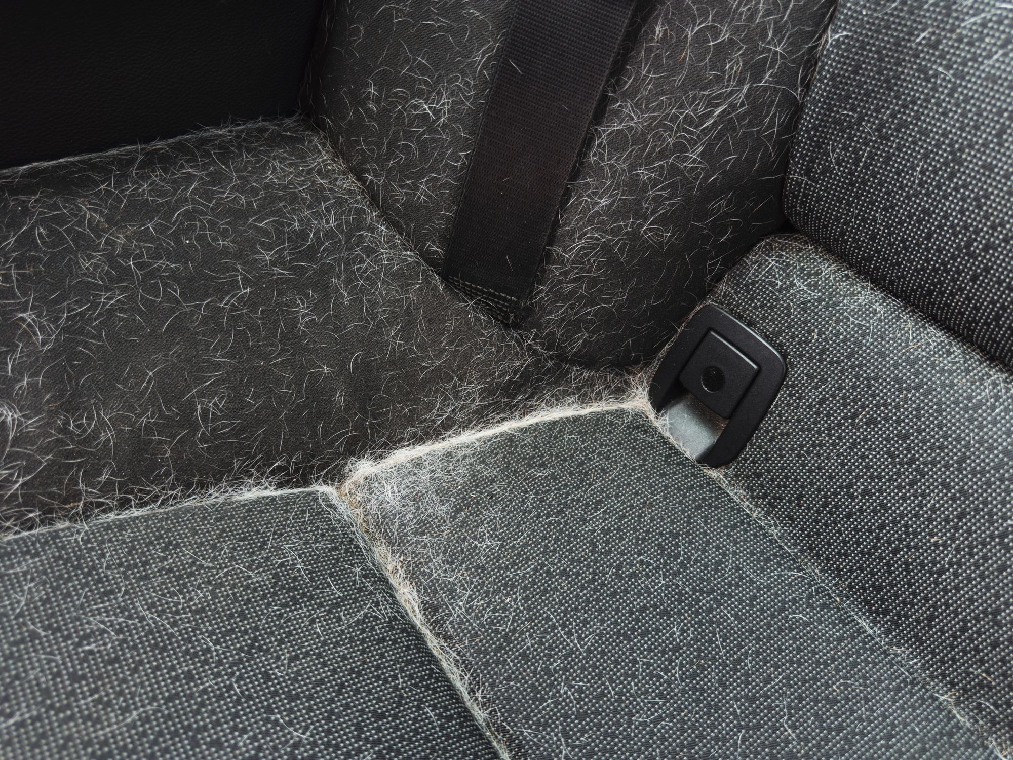 Car seat fabric with pet hair